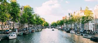 Schoolcijfers Bijhouden en Analyseren Een Gids voor Succes 413918520
